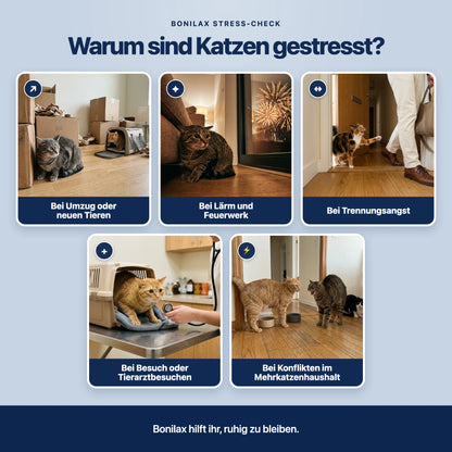 Beruhigungsdiffusor Set Katzen
