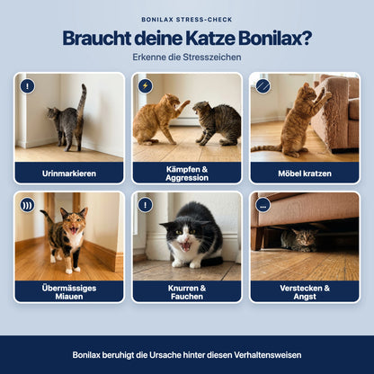 Beruhigungsdiffusor Set Katzen