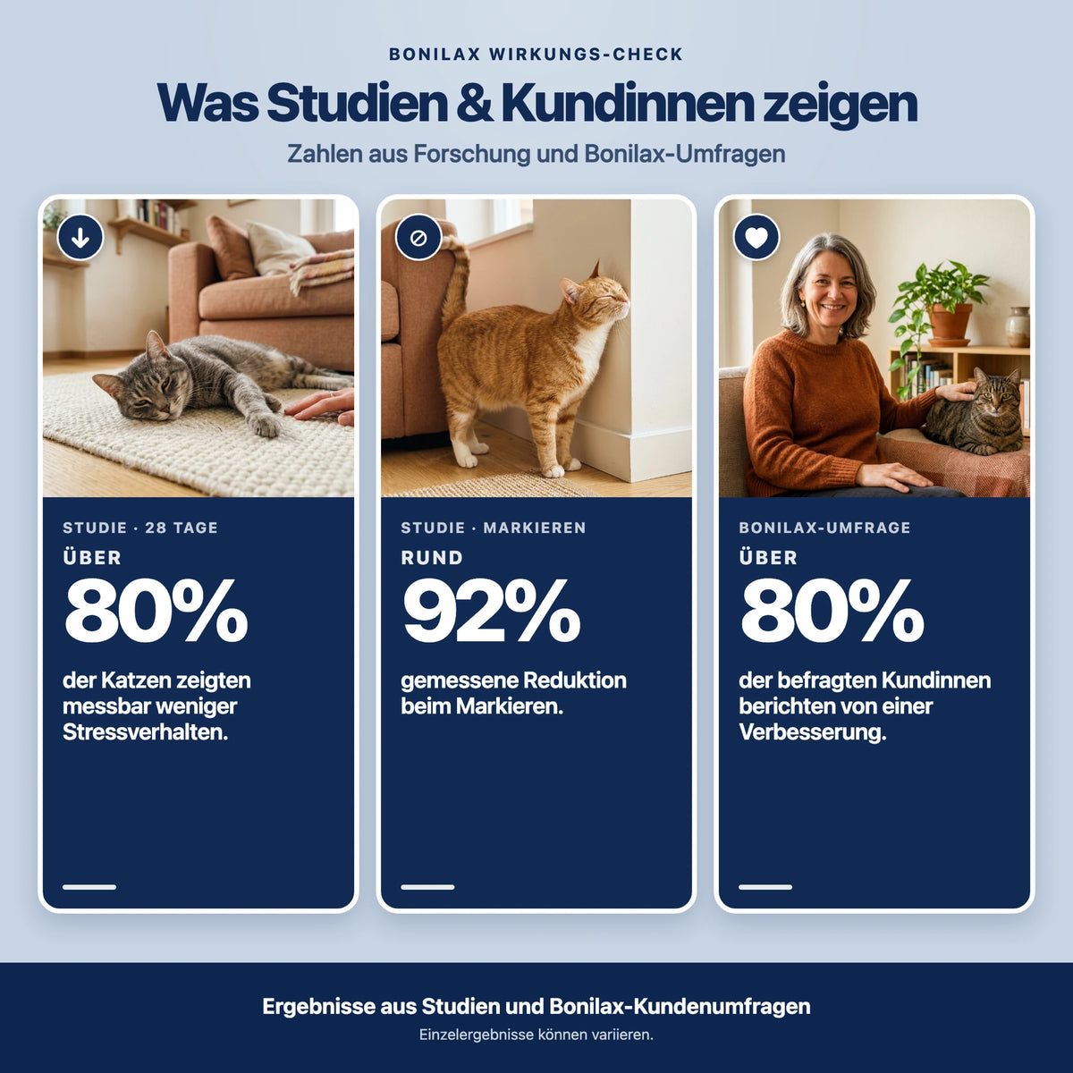 Beruhigungsdiffusor Set Katzen
