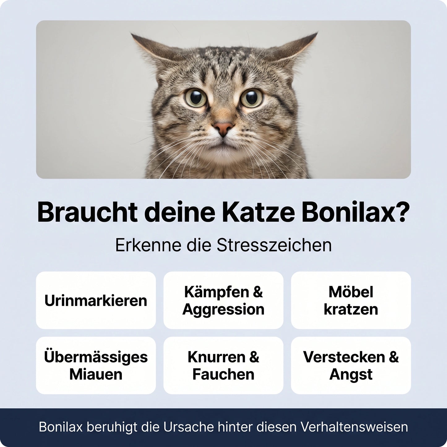 Katzen Pheromon Nachfüller