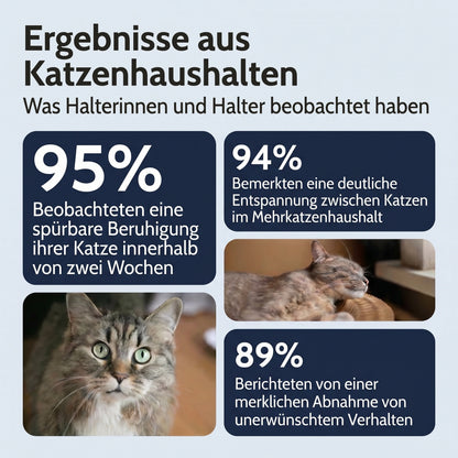 Beruhigungsdiffusor Set Katzen