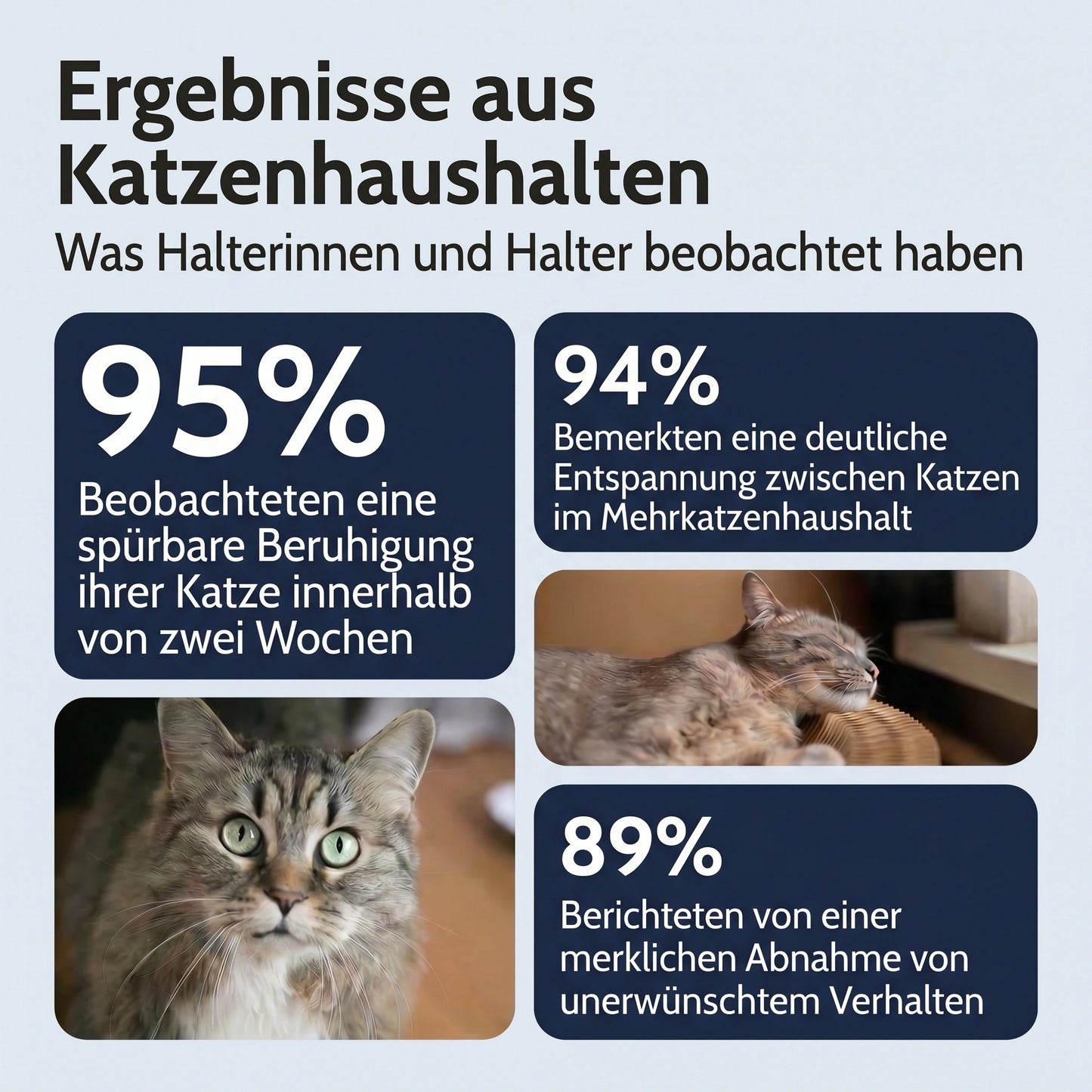 Katzen Pheromon Nachfüller
