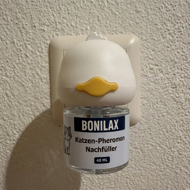 Platzieren