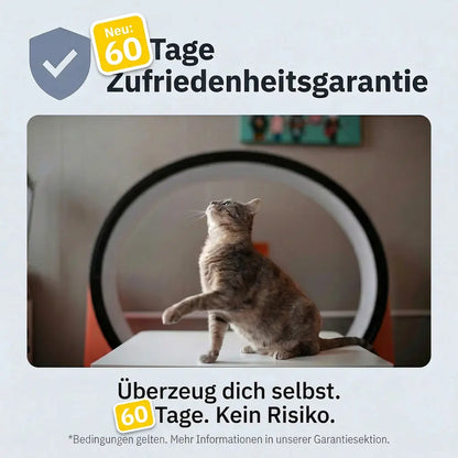 Beruhigungsdiffusor Set Katzen